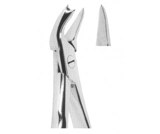 Extracting Forceps With Anatomically Shaped Handle